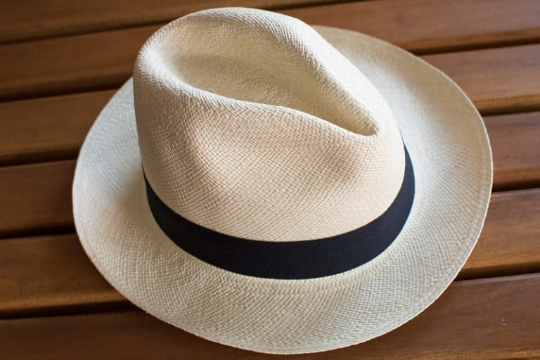 Panama Hat Vs Fedora Everything You Need To Know