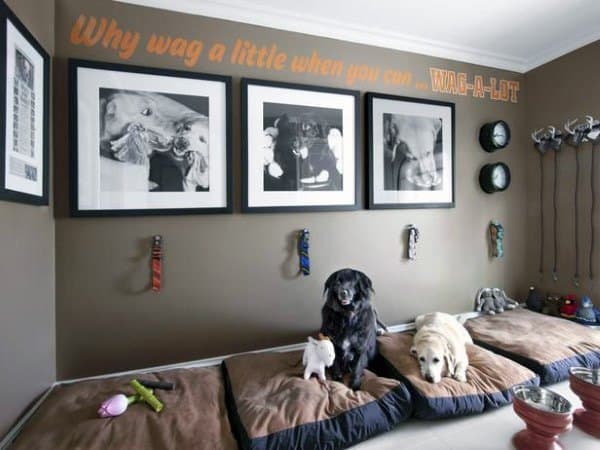 top 60 best dog room ideas - canine space designs