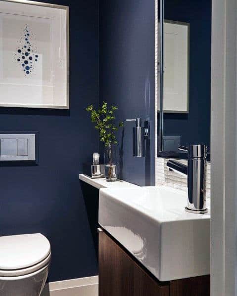 Cool Blue Painted Walls Contemporary Bathroom
