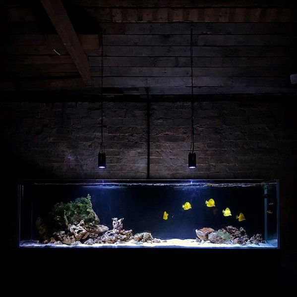 Fish Tank Bachelor Pad Decor