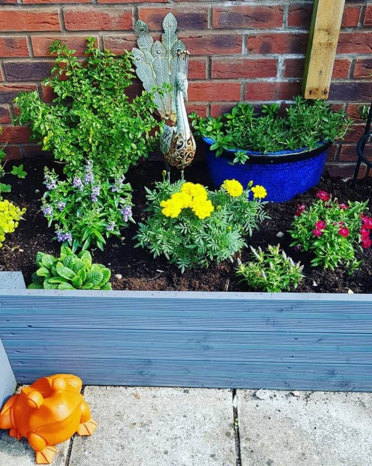 Raised Garden Bed Ideas To Invigorate Your Backyard