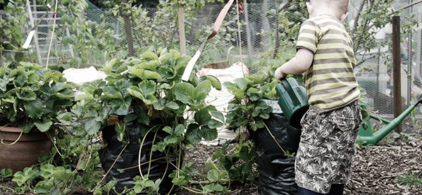 Gardening Father Son Activities