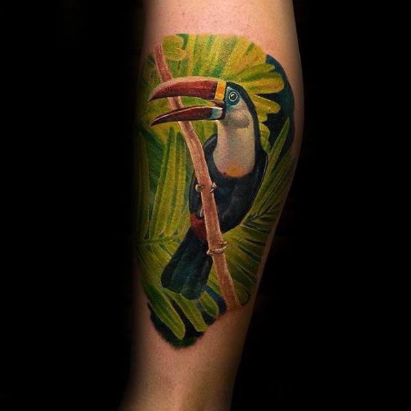 50 Toucan Tattoo Designs For Men Large Beak Bird Ink Ideas