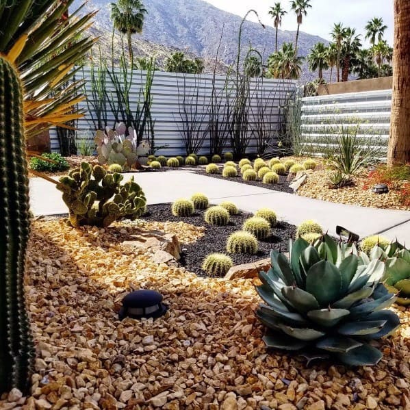 Top 70 Best Desert Landscaping Ideas - Drought Tolerant Plants