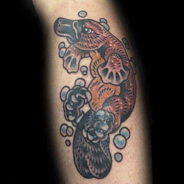 50 Platypus Tattoo Designs For Men Animal Ink Ideas