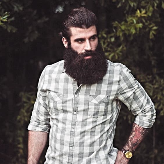 Male Awesome Beard Style