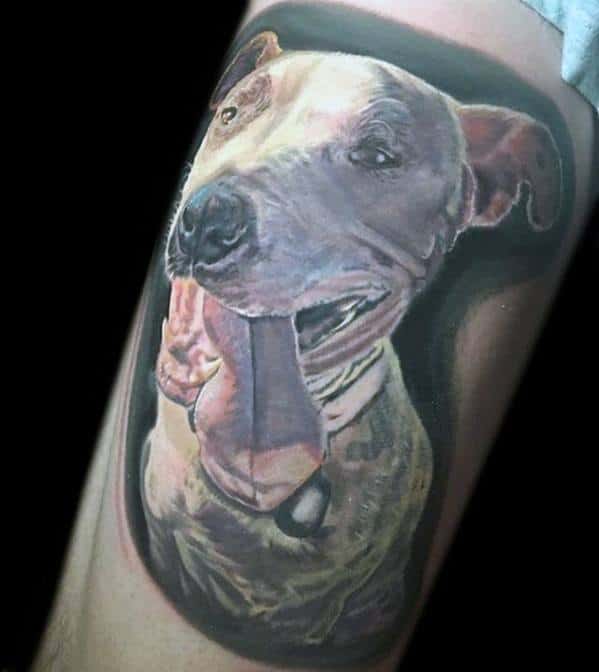 50 Pitbull Tattoo Designs For Men - Dog Ink Ideas