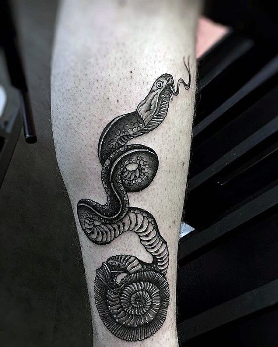 ammonite tattoo