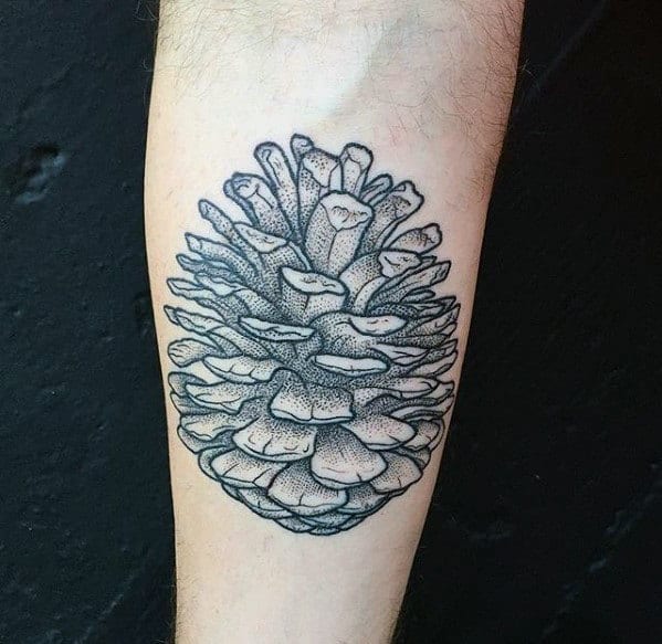 60 Pine Cone Tattoo Designs For Men Evergreen Ink Ideas