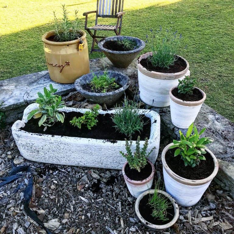 Innovative Herb Garden Ideas For Your Home