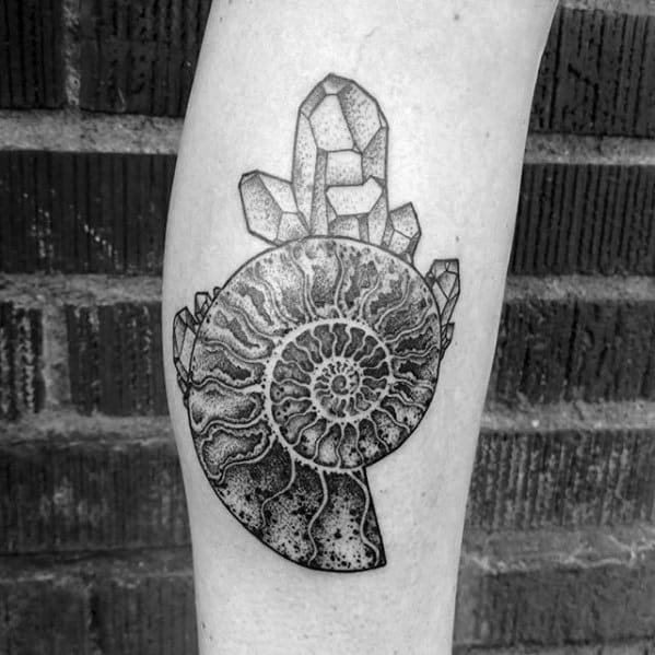 ammonite tattoo
