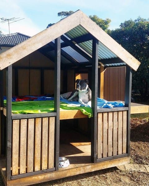 Dog House For 2