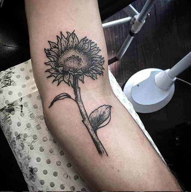 large black and grey tattoo on inner elbow of realistic sunflower with thick stem and leaves
