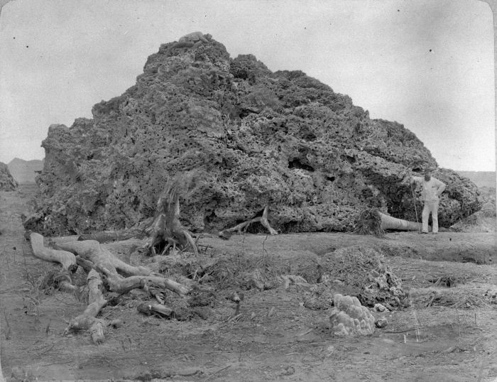 1883 Krakatoa Eruption