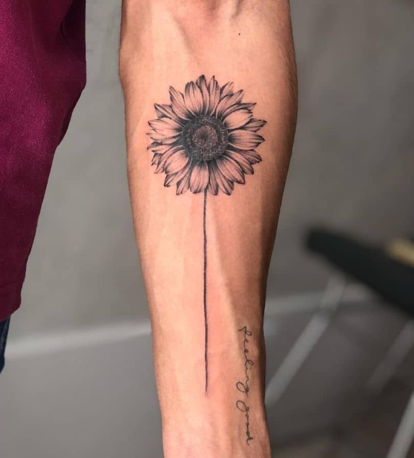large black and grey tattoo on man's forearm of a realistic sunflower with stem and no leaves