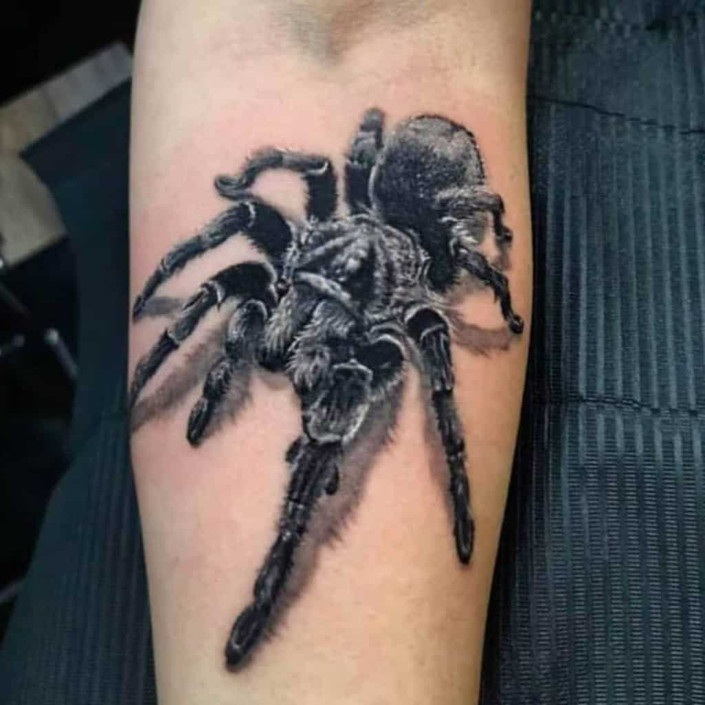 Art Immortal Tattoo  Tattoos  Black and Gray  Spiderweb should cap and 3D  spider