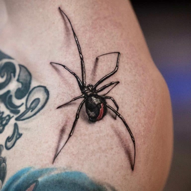 Stunning 3D Spider Tattoo Ideas   3D Spider Shoulder Tattoo Erasolte 768x768 