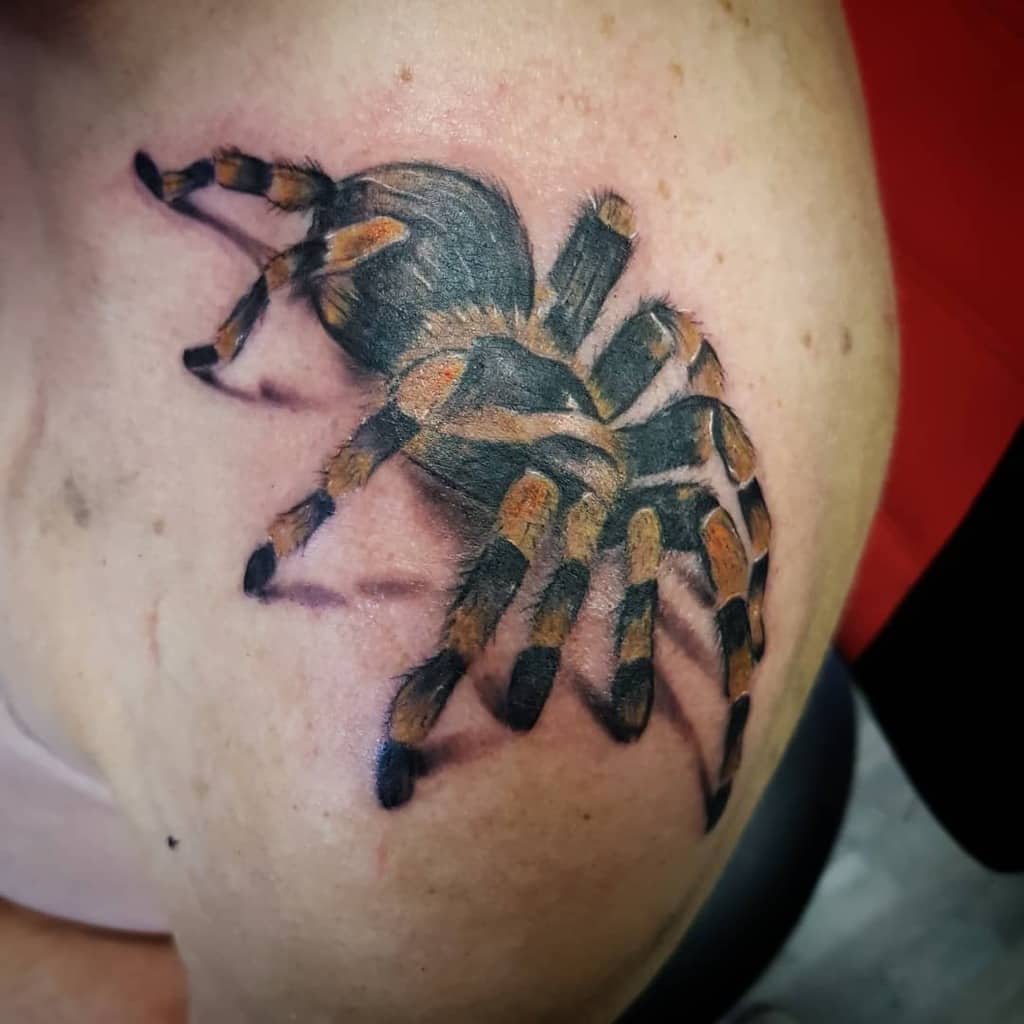 3D Spider Shoulder Tattoo royaltytattoos_rene_erkamp