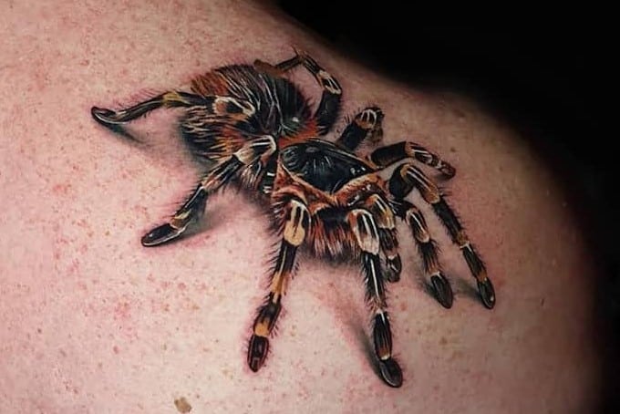 Tribal Spider Armband Temporary Tattoo – Temporary Tattoos