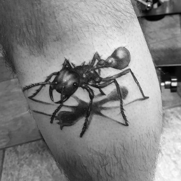 3d Leg Calf Ant Tattoo Ideas On Guys