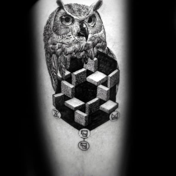 3d Optical Illusion Mens Geometric Owl Arm Tattoo