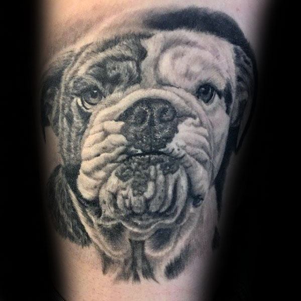 3d Realistic Bulldog Head Male Arm Tattoo Design Inspiration