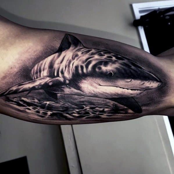 3d Realistic Male Great Shark Inner Arm Bicep Tattoo Designs