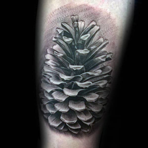 Pine cone tattoo on the right inner forearm