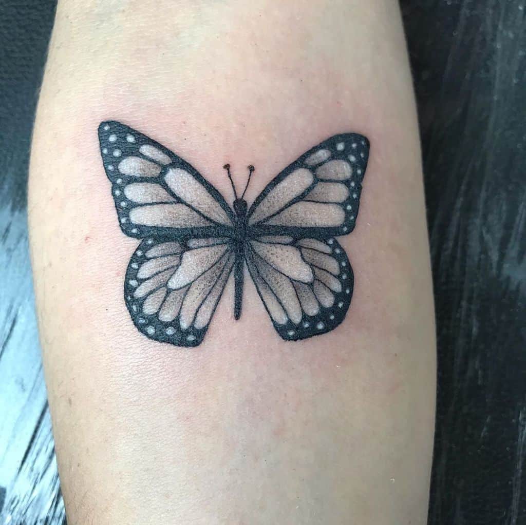 medium-sized black and grey tattoo on lower leg of a realistic butterfly with white highlights