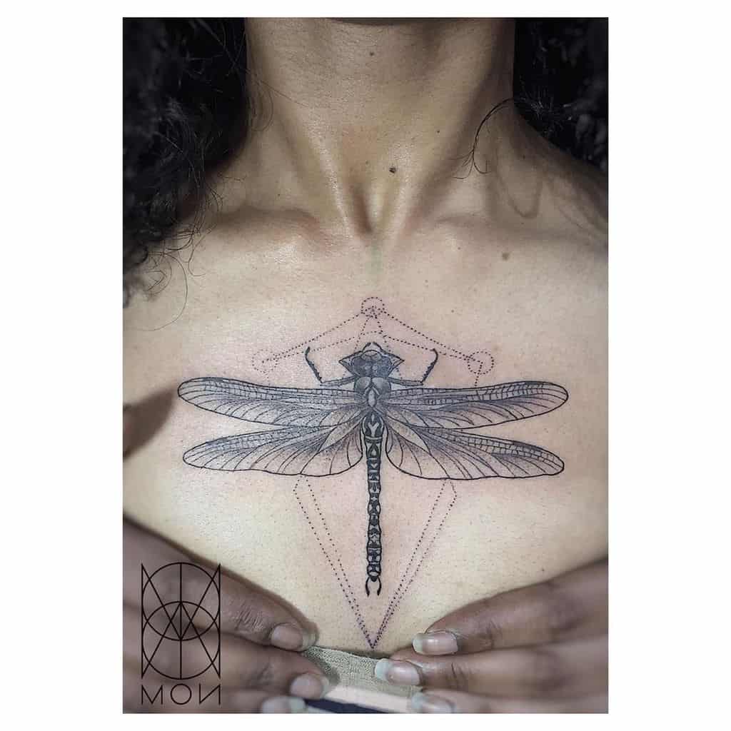 The sculptured dragonfly in the cleavage pertaining a colossally warm and measured image 