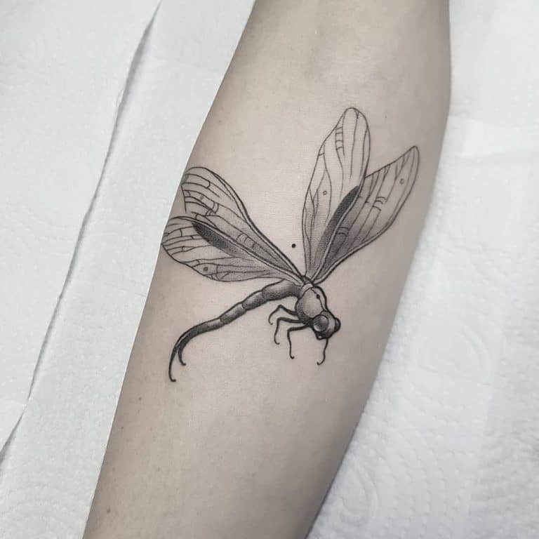 101 Dragonfly Tattoo Designs - [Best Rated Designs in 2022] - Next Luxury