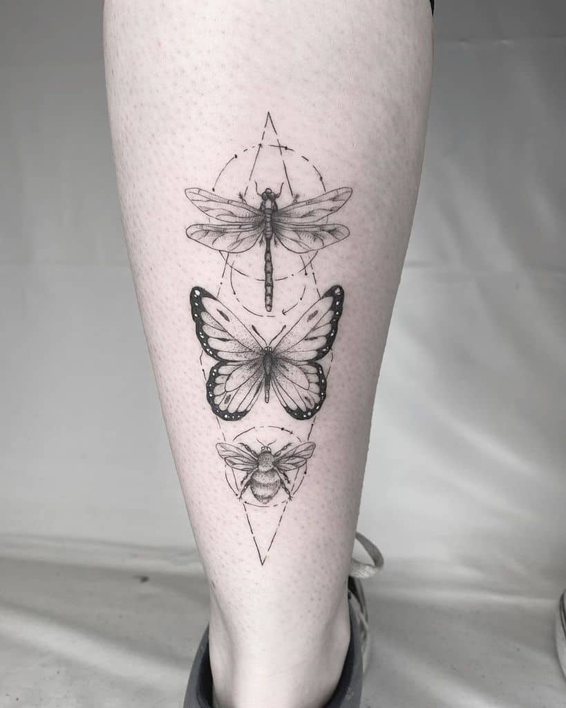 The evolving of bug into a butterlfy and then into a dragonfly depicting the rule of life; continuous change and evolving 