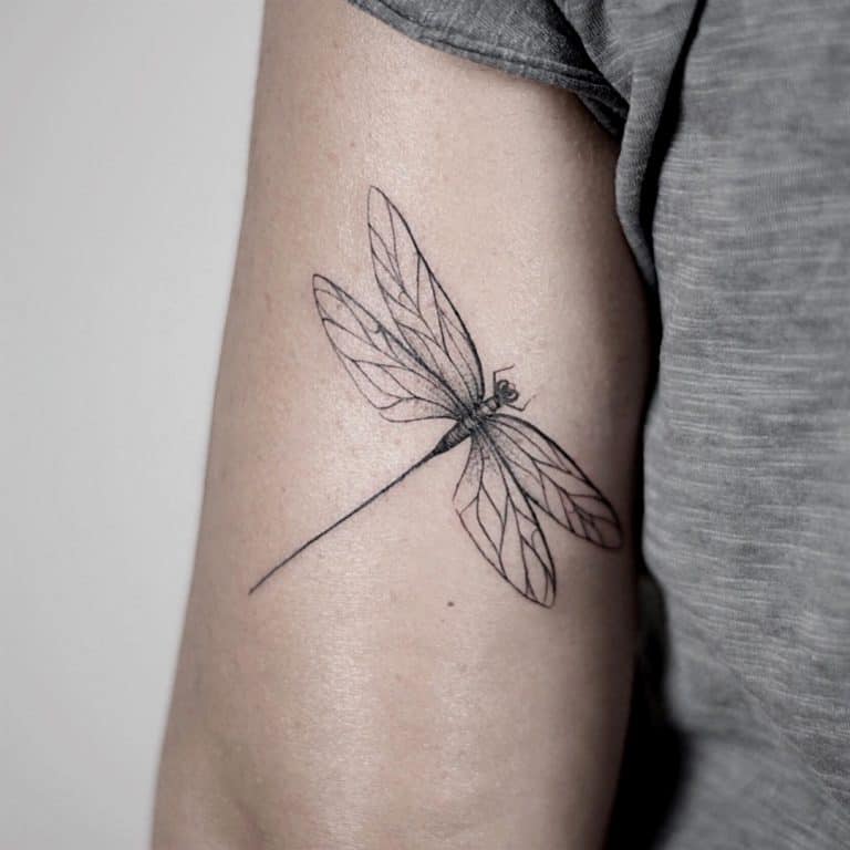 101 Dragonfly Tattoo Designs - [Best Rated Designs in 2022] - Next Luxury