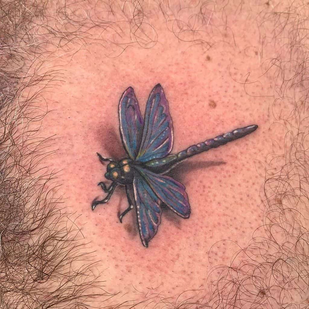 The 3D dragonfly over the body showing the real-time flight of the freedom and harmony 