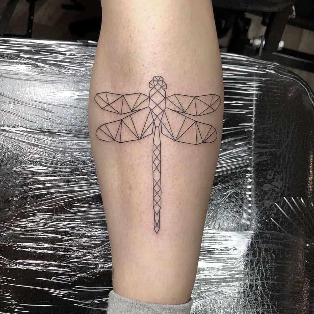 A dragonfly made through the line work to satisfy the person with passion for geometry 