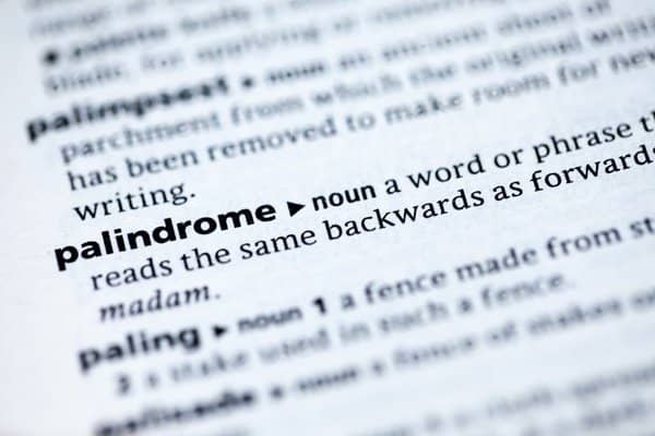 85 Great Palindrome Examples