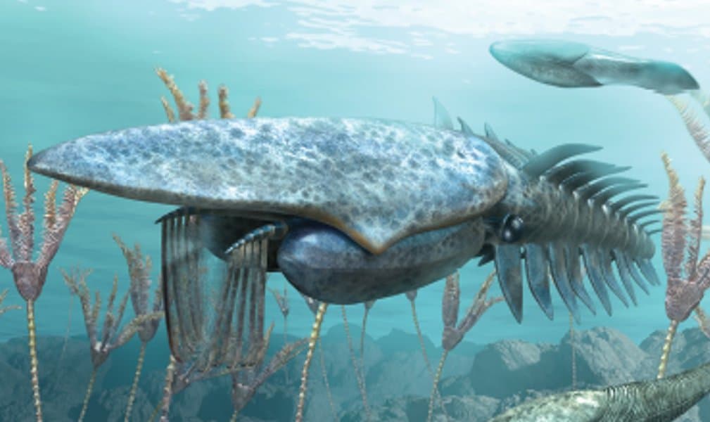 Animals Before Dinosaurs: 15 Prehistoric Creatures That Once Ruled the Earth 