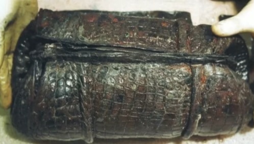 Alligator skin bag among salvaged Titanic artifacts kept in a secret warehouse