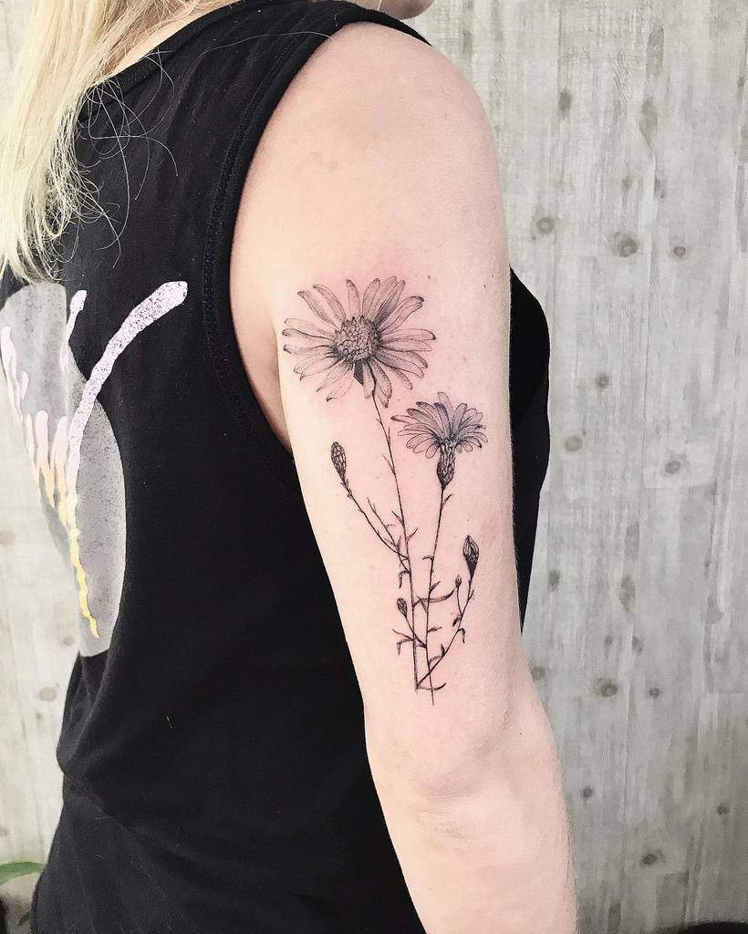 Aster Flower Upperarm Tattoo jaderoybourcier