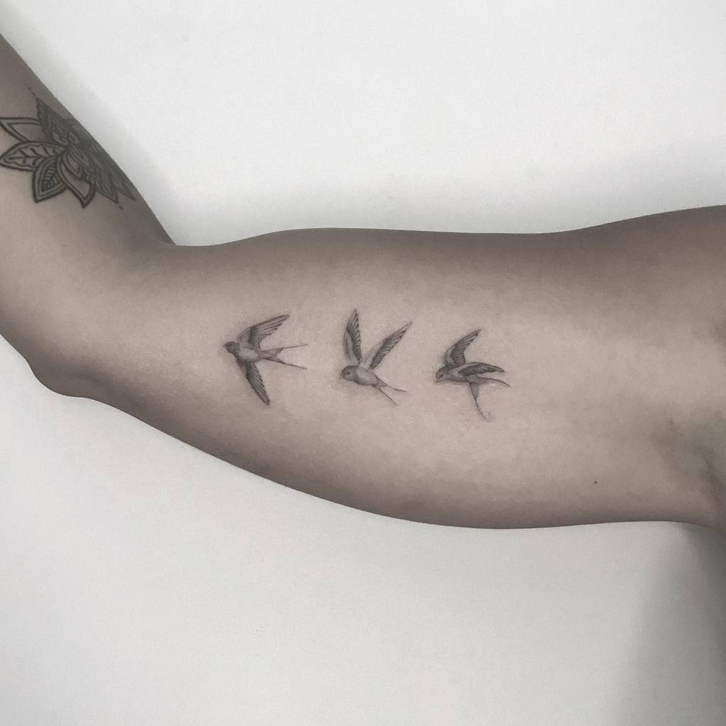 bird-microrealism-single-needle-tattoo-erikdamasco