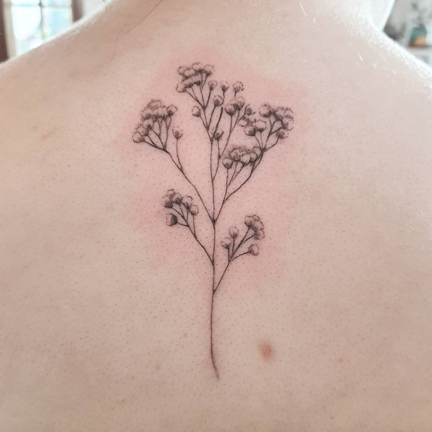 Baby's Breath Tattoo Ideas Reflecting Purity and Serenity