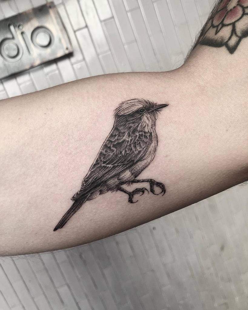 Black Small Bird Tattoos Alicia Casale