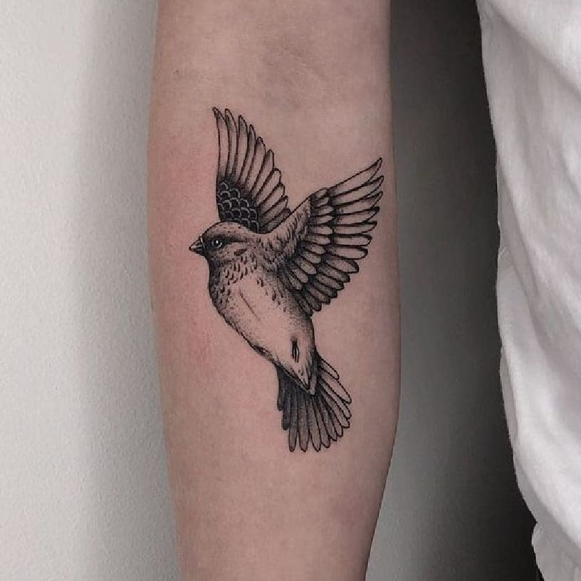 Black Small Bird Tattoos Khansaqadeer