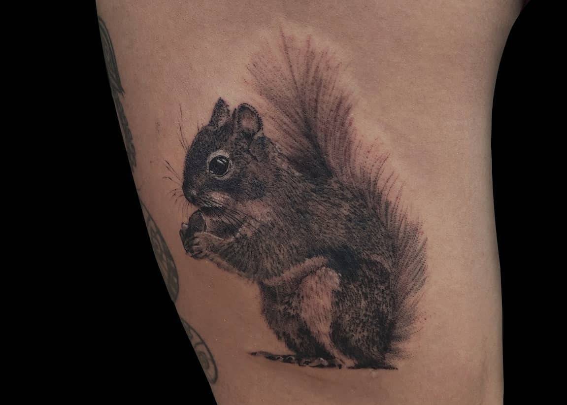 Squirrel Tattoo Stock Illustrations – 755 Squirrel Tattoo Stock  Illustrations, Vectors & Clipart - Dreamstime