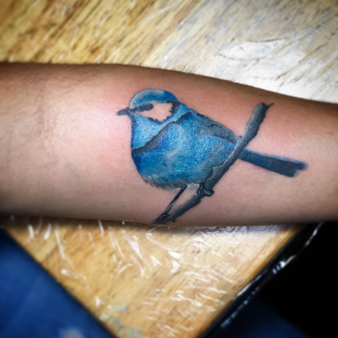Bluebird Unterarm Tattoo drawbeatz