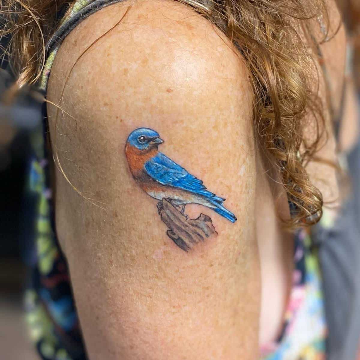 Bluebird Schulter Tattoo boscolaynetattoo
