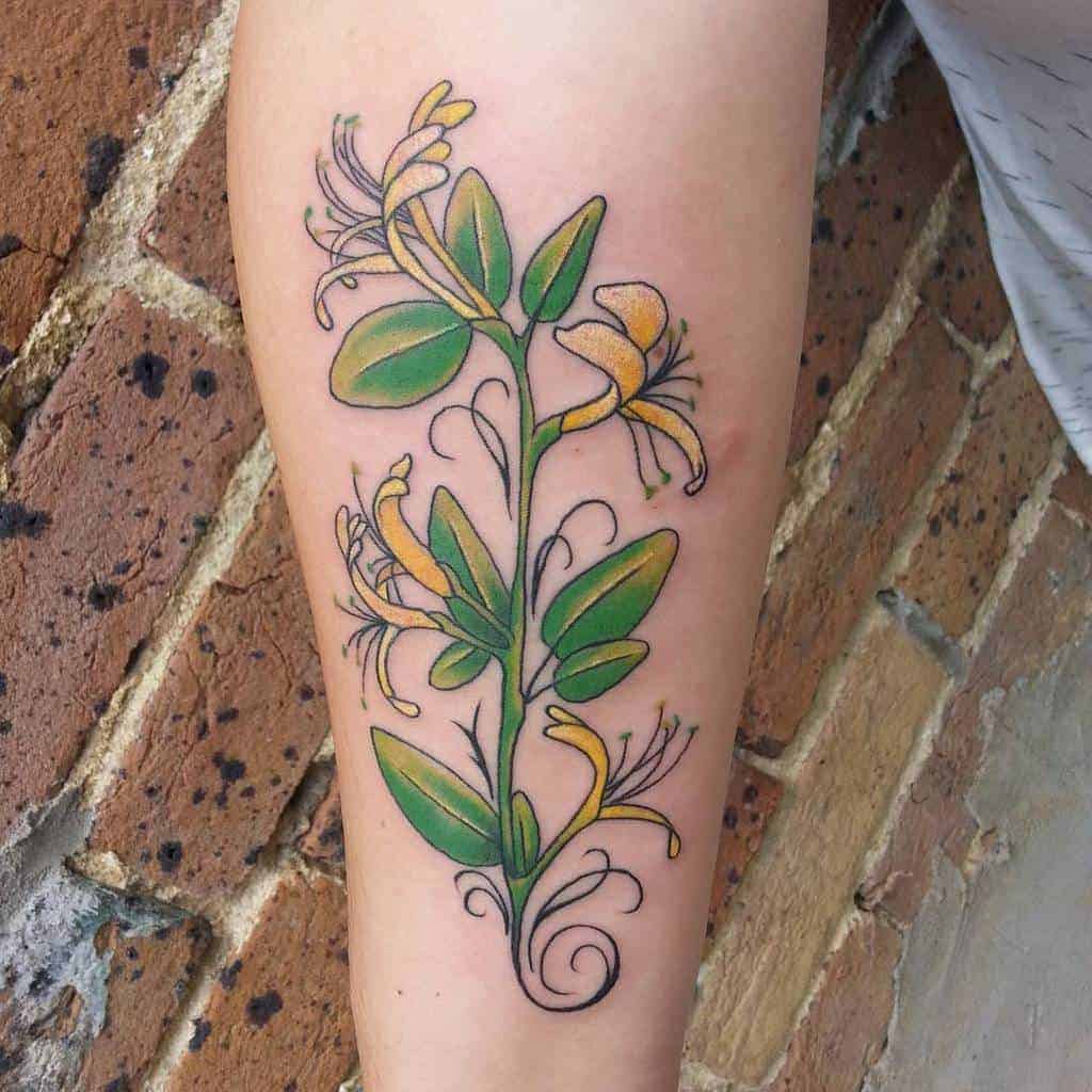 Botanical-honeysuckle-tattoos-jessicamerritt_tattoos