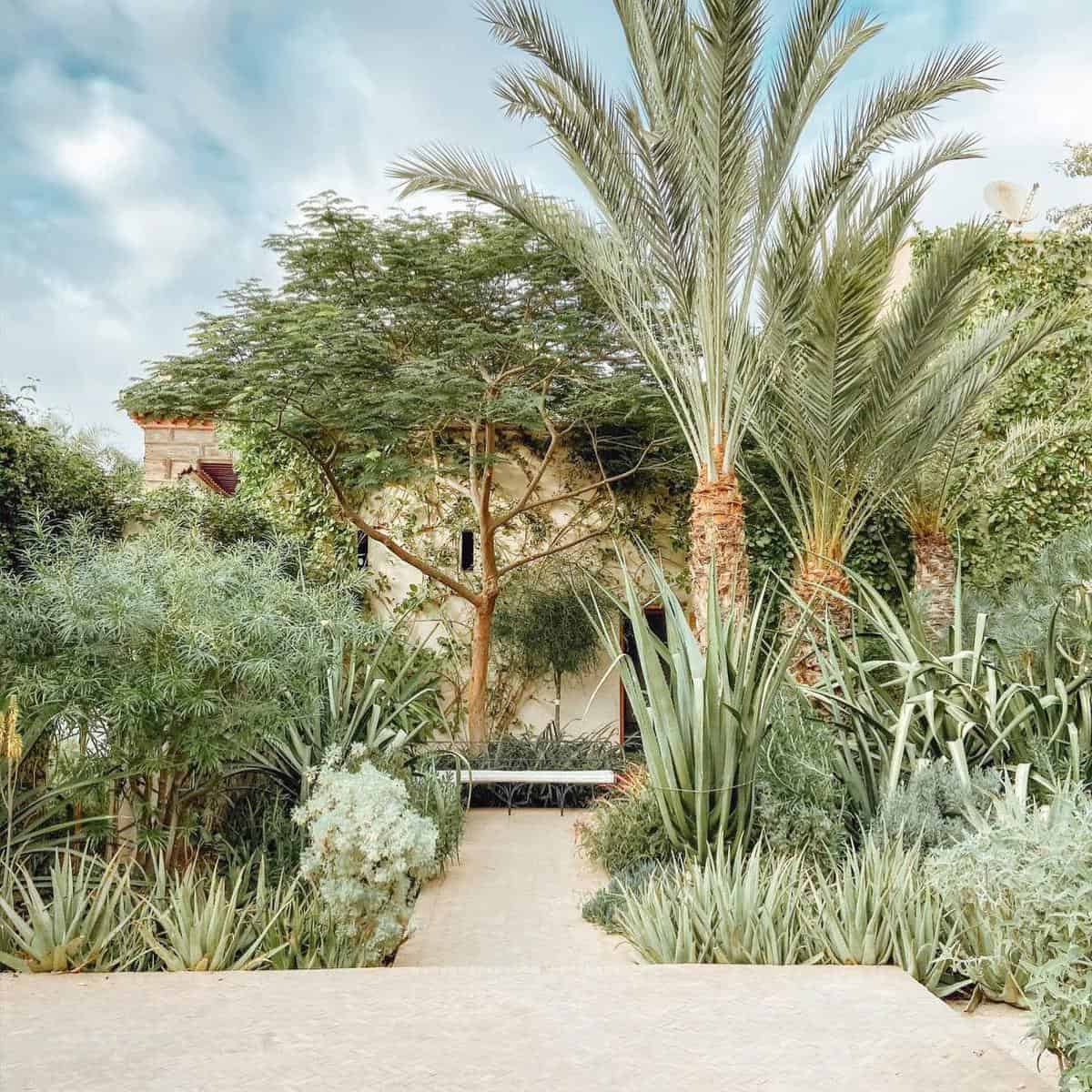 cactus garden stone pathway green vegetation 