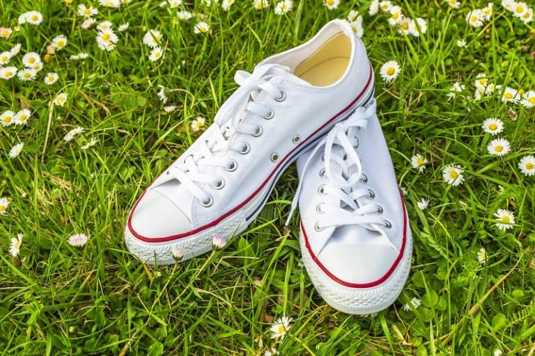 A Comprehensive Guide To Cleaning Your White Sneakers
