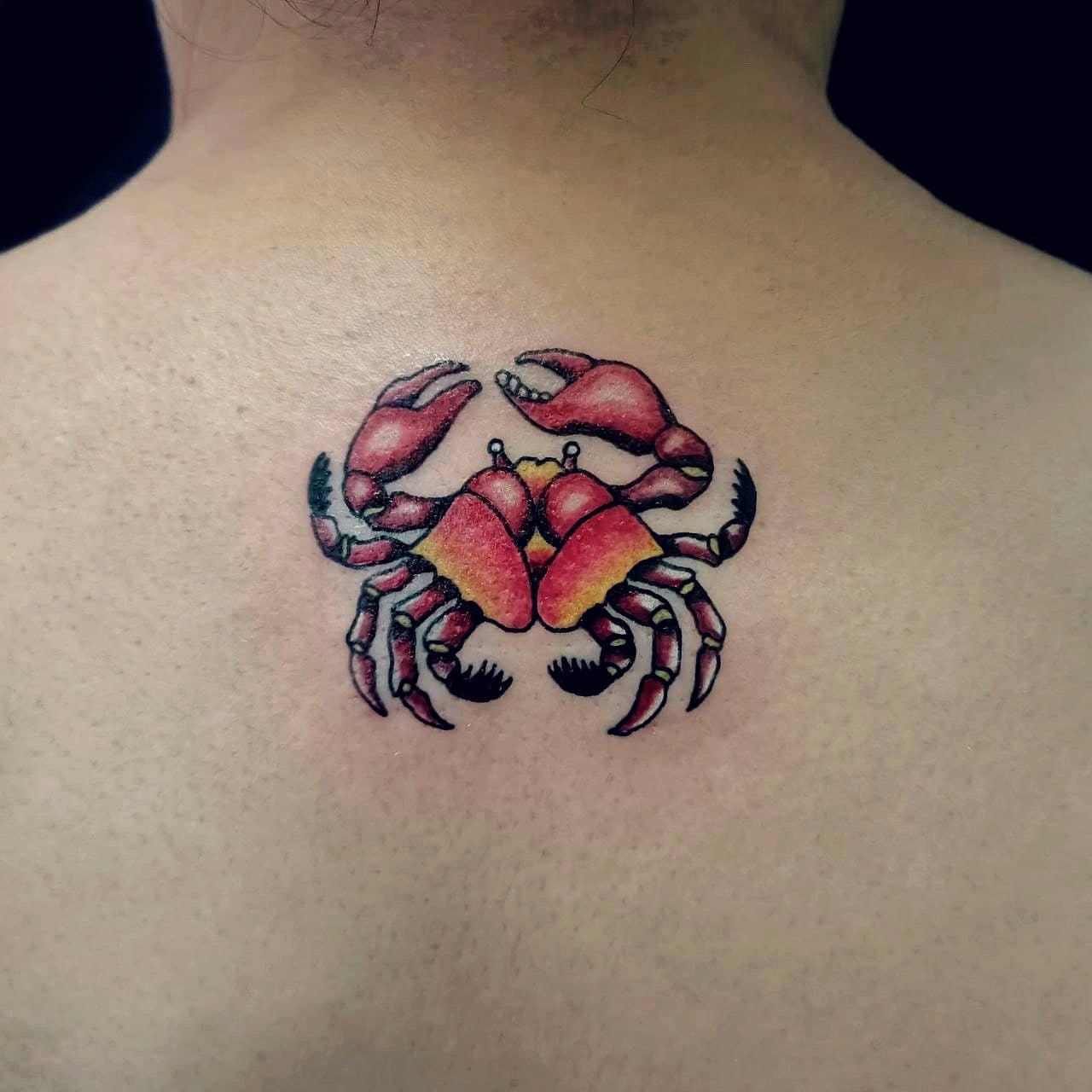 Premium Vector | Collection of crab tattoo designs